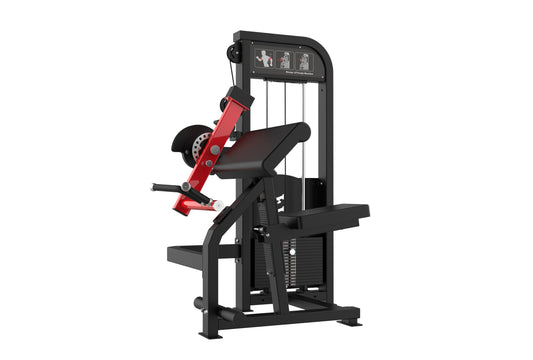 BICEPS TRICEPS 2W1