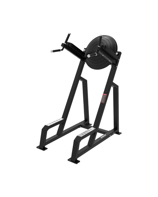 Knee Raise/Dip KRAUSE FITNESS