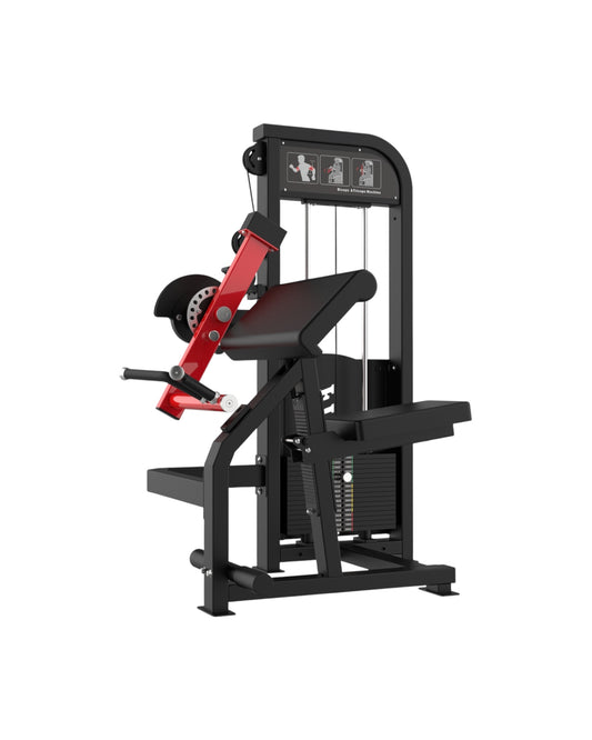 Biceps Triceps 2W1 KRAUSE FITNESS